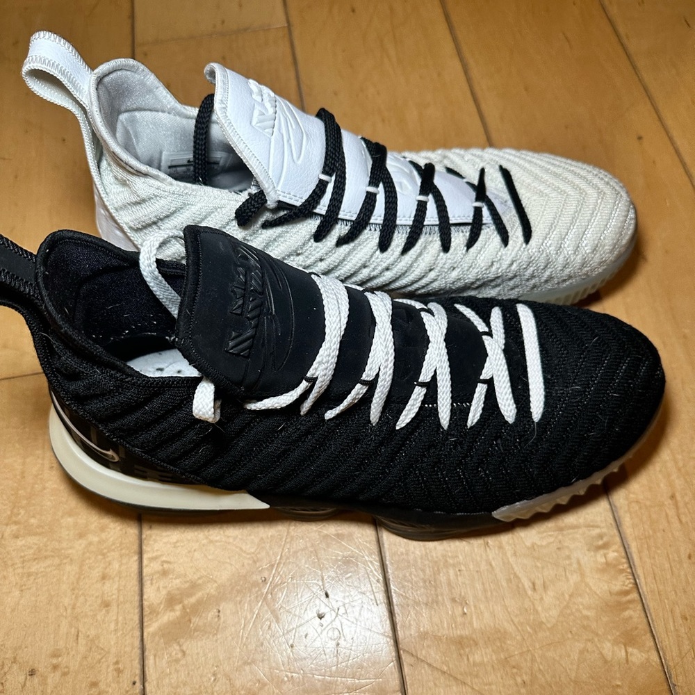LEBRON 16 Equality